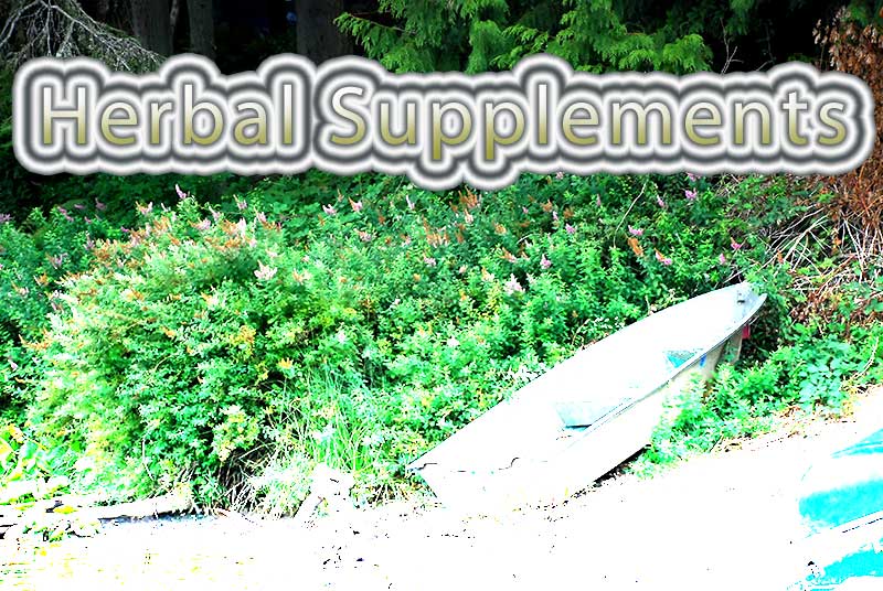 Herbal Supplements For Penis Enlargement