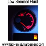 Low seminal fluid