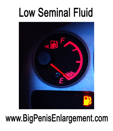 Low seminal fluid